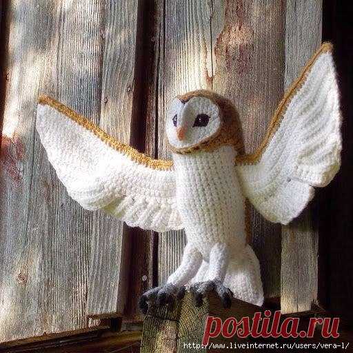 Сова сипуха