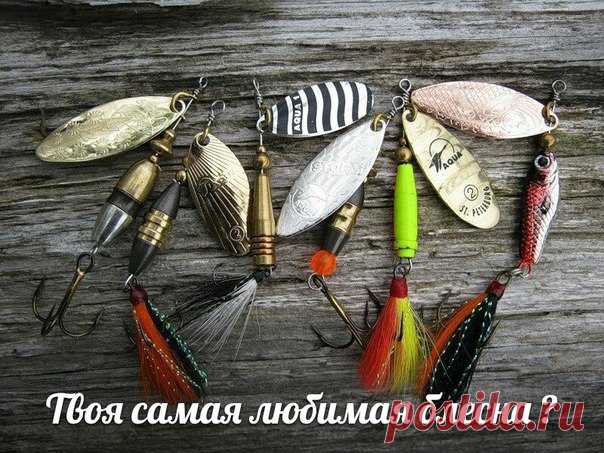 Твоя самая любимая блесна? / Богатая добыча