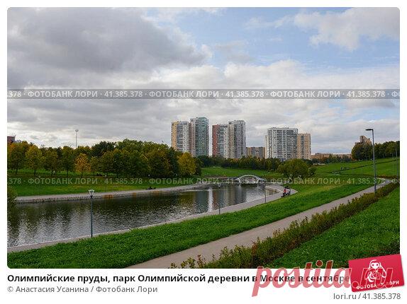 Олимпийские пруды, парк Олимпийской деревни в Москве в сентябре (2016 год) Редакционное фото, фотограф Анастасия Усанина / Фотобанк Лори