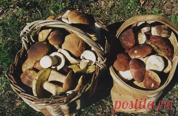 Интересные новости