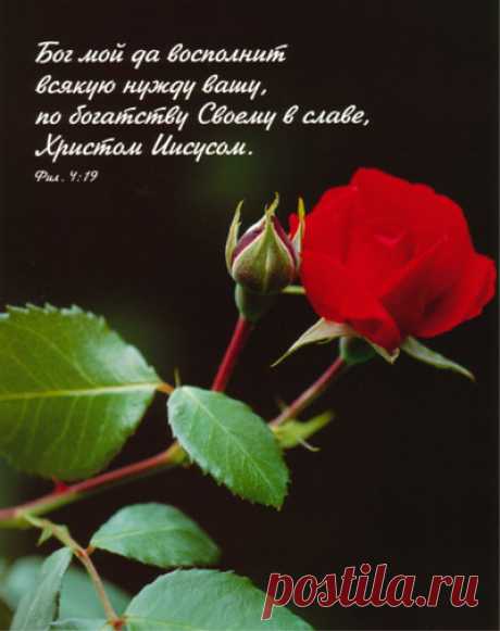 143.jpg (400×505)