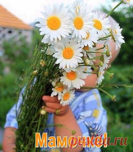 Трогательный стих! Я плакала!!!
------------------------------------------------—
- Мама, дай покушать!
- Мама, дай попить!
- Мама, ту игрушку
Показать полностью…