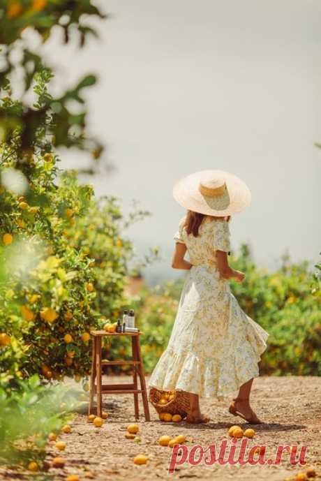 "Она улыбнулась, и мне показалось, что весь мир стал светлее."
Эрих Мария Ремарк