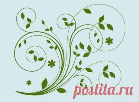 Фотографии на стене сообщества | 32 801 фотография
