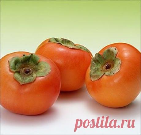 Как вырастить хурму из косточки.