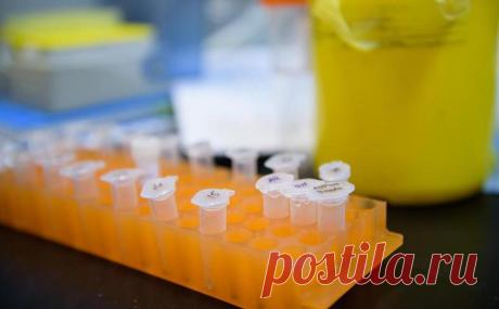 Ученые предупредили об опасных «побочках» новых препаратов от Альцгеймера. Ученые выражают беспокойство из-за сокращения мозга и кровоизлияния в мозг вследствие приема новых препаратов от болезни Альцгеймера леканемаба и донанемаба. Они могут замедлять снижение когнитивных функций, но незначительно