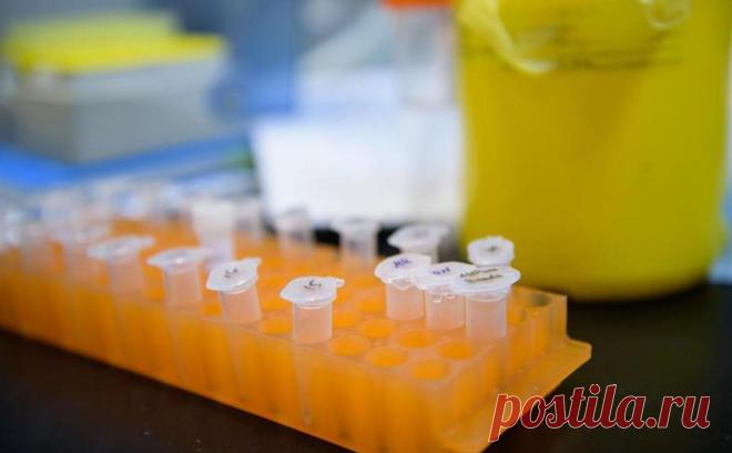 Ученые предупредили об опасных «побочках» новых препаратов от Альцгеймера. Ученые выражают беспокойство из-за сокращения мозга и кровоизлияния в мозг вследствие приема новых препаратов от болезни Альцгеймера леканемаба и донанемаба. Они могут замедлять снижение когнитивных функций, но незначительно