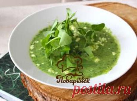 Сыроедческий суп: рецепты на все вкусы