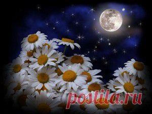 Академия достижений успеха!