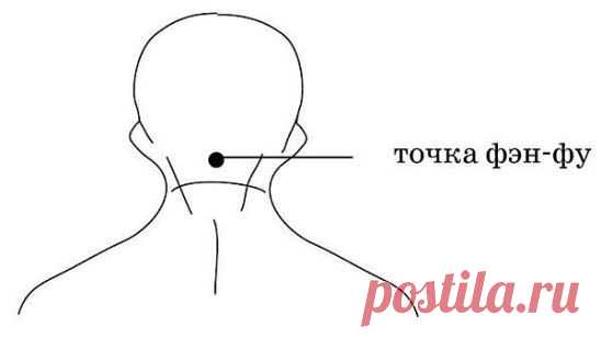 ТОЧКА ФЭН-ФУ И ОМОЛОЖЕНИЕ ОРГАНИЗМА. НЕВЕРОЯТНО - НО ФАКТ!