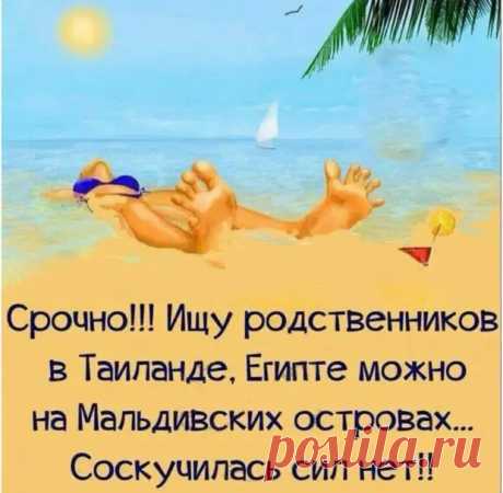Веселые истории о нас - медиаплатформа МирТесен