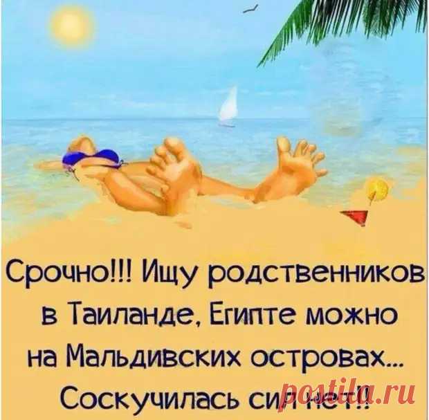 Веселые истории о нас - медиаплатформа МирТесен