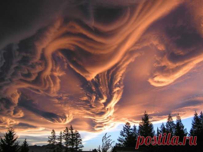 Undulatus asperatus Undulatus asperatus (лат. волнисто–бугристый) — редкий тип облаков, имеющий необычный и устрашающий вид. В 2009 году он был предложен к включению в общую классификацию облаков как отдельный вид. Вид остаётся малоизученным.