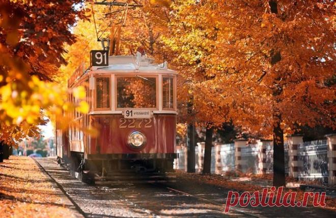 20 мест, где осень невероятно прекрасна