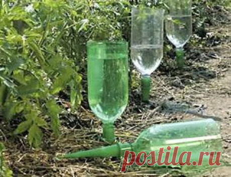 Пластиковые бутылки могут пригодиться