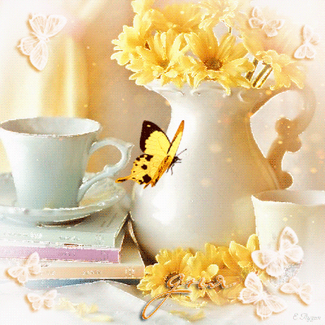 336241942.gif (500×500)