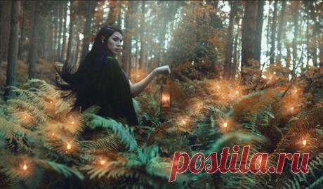 Волшебство и магия природы: фотографии, наполненные колдовством