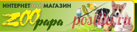 Интернет зоомагазин Zoopapa
 магазин зоотоваров Киев