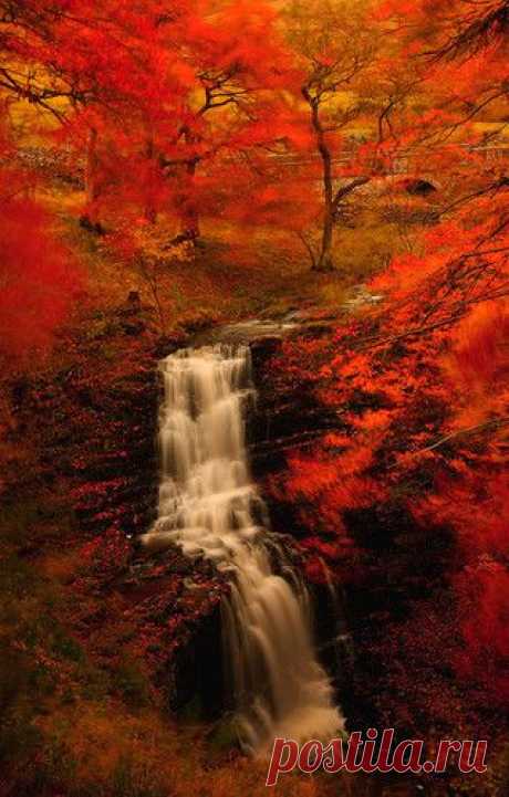 England. Love fall scenes anywhere, | "Awesome Nature"