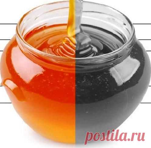 При нагреве мёд превращается в яд?! Вы верите? | Четыре вкуса