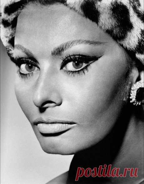 Оптический трюк в макияже Софи Лорен: как придать глазам миндалевидную форму | beauty viewer | Яндекс Дзен