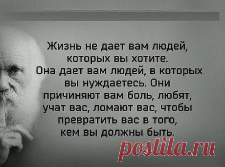 Проще быть несчастным и изображать из себя жертву обстоятельств, чем найти в себе силы признать себя жертвой собственной лени, глупости и зависти.