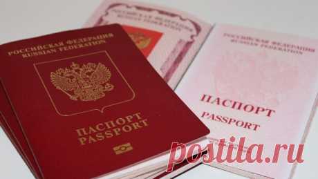 Оформление загранпаспорта через сайт Госуслуги | Выживи сам