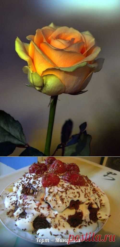 Готовим дома: вкусно и просто