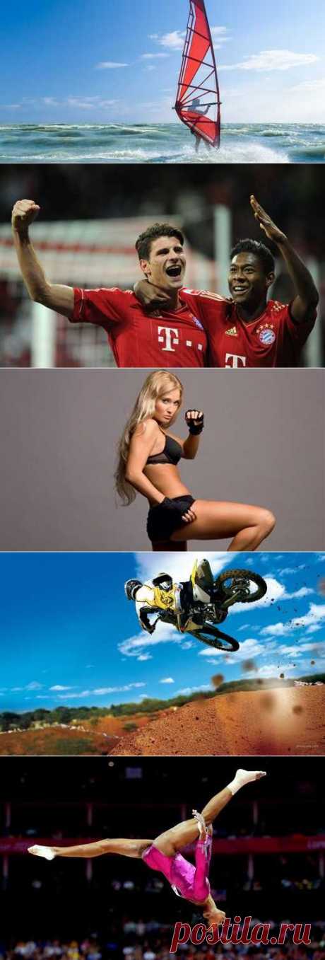 Покер спортивный, Годзю-рю, Бодибилдинг, Танцевальный спорт. (1/1) - Спортивный форум. - Спортивный сайт