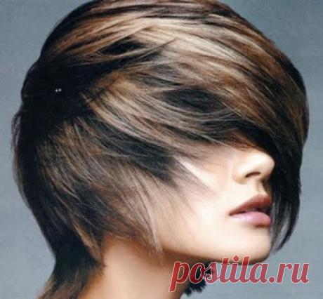 Мелирование на черные волосы (39 фото): видео-инструкция как сделать на длинные крашеные локоны в домашних условиях своими руками, фото и цена