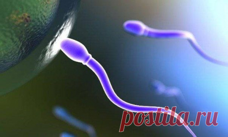 Шанс вашего рождения составляет 1 к 400 000 000 000 000 000 - Факты, интересные факты, познавательные статьи, цифры и новости - facte.ru