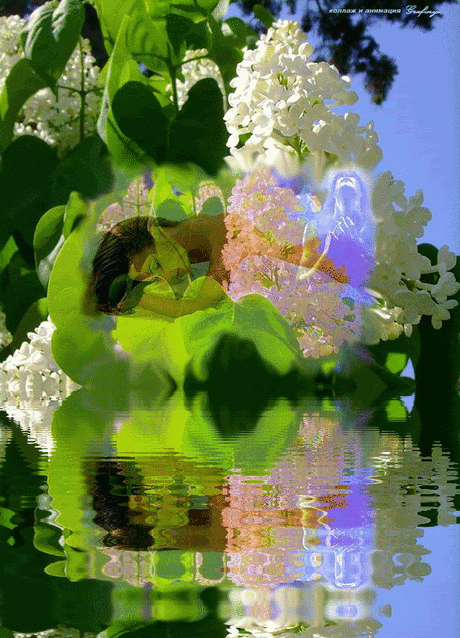 gala-gif4553454543.gif (633×878)