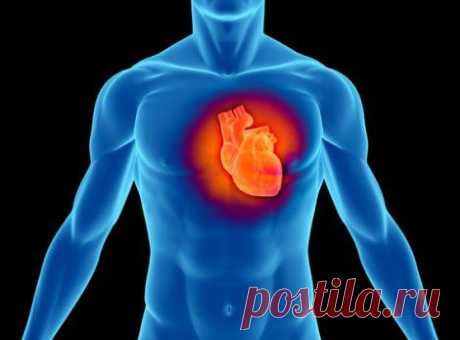 Сердце и его лечение. | Познавательный сайт ,,1000 мелочей&quot;