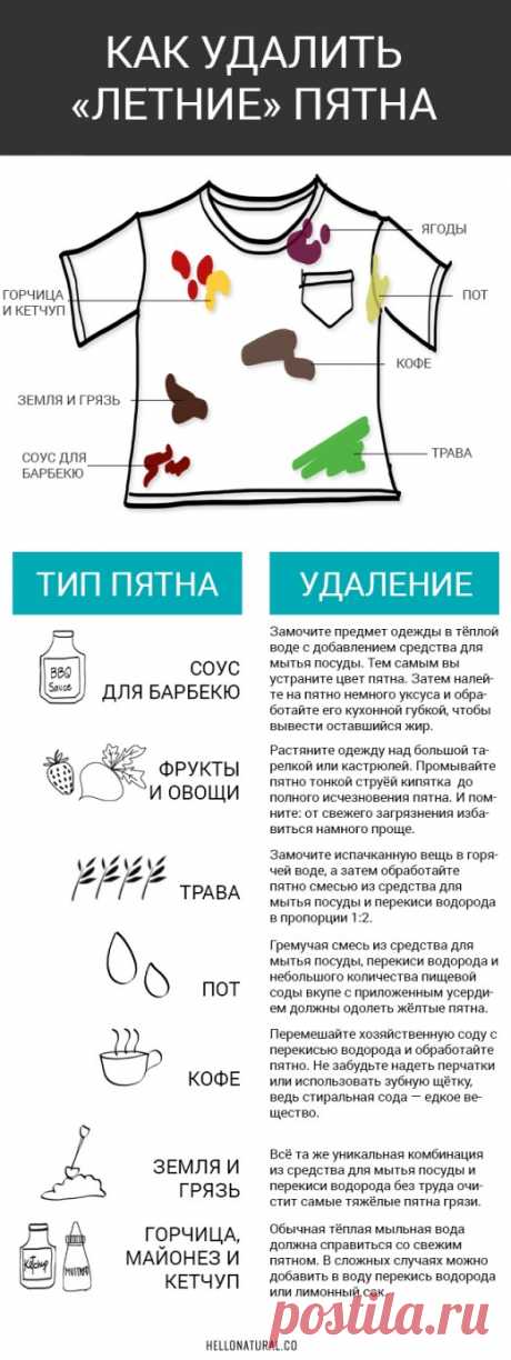 ИНФОГРАФИКА: Как избавиться от "летних" пятен на одежде - Лайфхакер