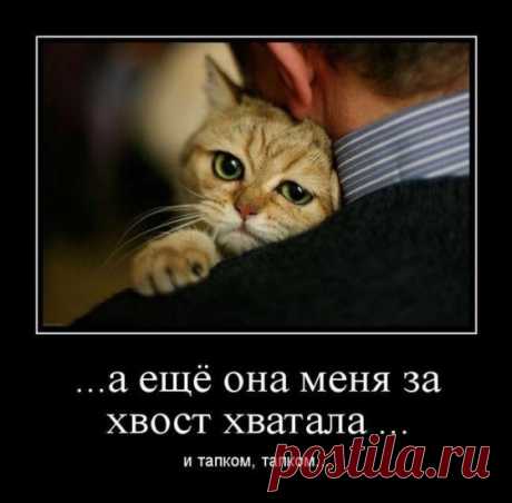 Жизнь..... – ♥ღ♥ Откровенный разговор ♥ღ♥ , пользователь Сер ёга . | Группы Мой Мир