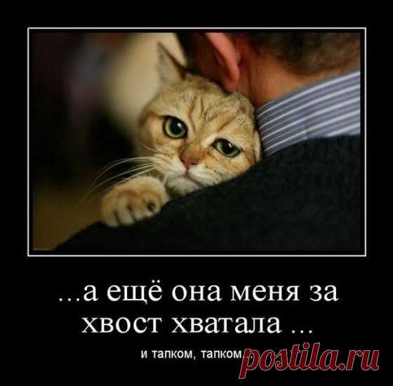 Жизнь..... – ♥ღ♥ Откровенный разговор ♥ღ♥ , пользователь Сер ёга . | Группы Мой Мир