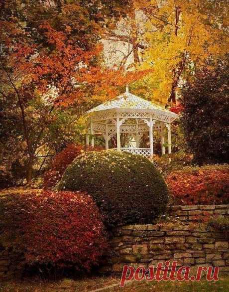 Pinterest