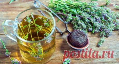 Как правильно заваривать чабрец от изматывающего кашля Рецепт заваривания чая чабреца помогающего от кашля Чабрец – популярное лекарственное растение, которое часто предлагают использовать в лечении инфекций дыхательных путей, сопровождающихся кашлем. Чабрец помогает устранить проблемы с отхождением слизи и её застоем в трахее и бронхах. Обладая широким спектром влияния на вирусы и бактерии, трава способна убрать боль и жжение в горле, облегчить дыхание, снять приступы изм...