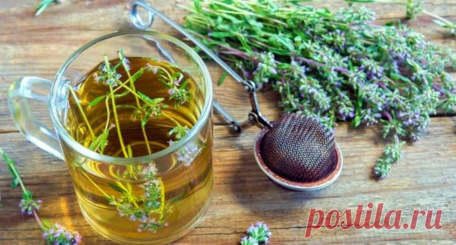 Как правильно заваривать чабрец от изматывающего кашля Рецепт заваривания чая чабреца помогающего от кашля Чабрец – популярное лекарственное растение, которое часто предлагают использовать в лечении инфекций дыхательных путей, сопровождающихся кашлем. Чабрец помогает устранить проблемы с отхождением слизи и её застоем в трахее и бронхах. Обладая широким спектром влияния на вирусы и бактерии, трава способна убрать боль и жжение в горле, облегчить дыхание, снять приступы изм...