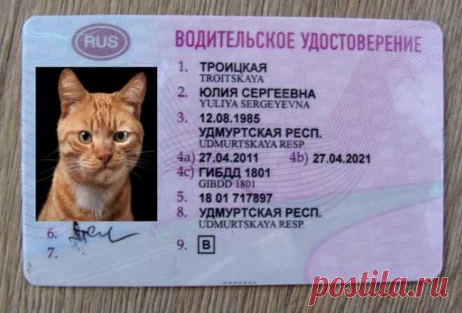 Зеркальные права. Мошенническая схема с водительским удостоверением  


Привлечь повышенное внимание правоохранительных органов и прессы к этой схеме мошенничества помог… случай. Инспектор ДПС, проверяя документы автомобилистки в Свердловской области, с недоумением об…