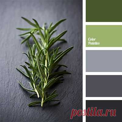 (4) Pinterest: scopri e salva idee creative