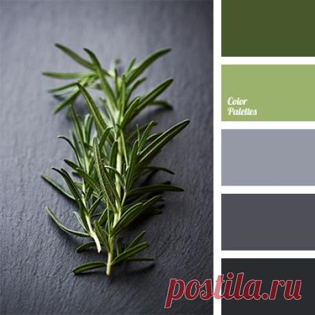 (4) Pinterest: scopri e salva idee creative