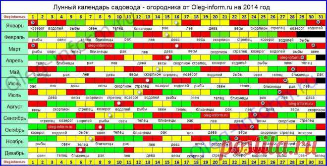 ВАЖНО! | Записи в рубрике ВАЖНО! | Дневник Лариса_Шунина