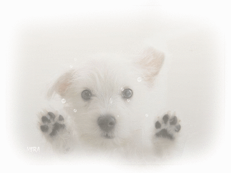 Мой Мир@Mail.Ru