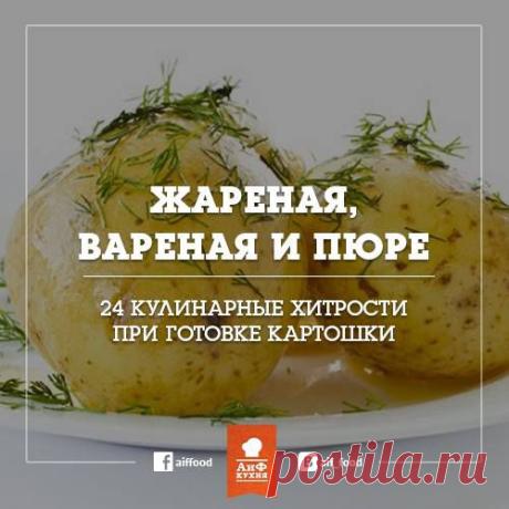 Facebook
АиФ Кухня делится хитростями, как идеально пожарить и сварить картошку, сохранить в ней витамины, приготовить вкуснейшие картофельные оладьи и пюре
https://www.aif.ru/food/products/1369475