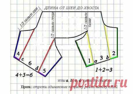 Одежда для шпица: как сделать своими руками