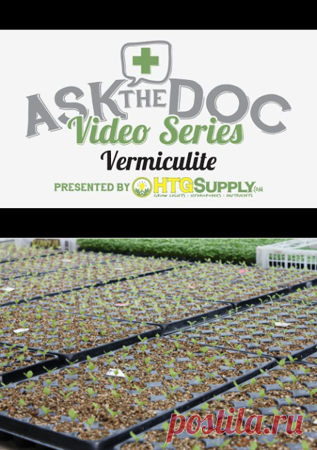Hydroponic Vermiculite | What To Look For When Buying: Hydroponic - mylittlegarden.net - 28.02.2017 | How to use vermiculite - gardening &amp; hydroponics HTGSUPPLY presents ASK THE DOC: Vermiculite! In this Video, the Doc explains to you the benefits and best uses for Vermiculite; as well as the difference between Vermiculite and Perlite. Horticultural grade ...