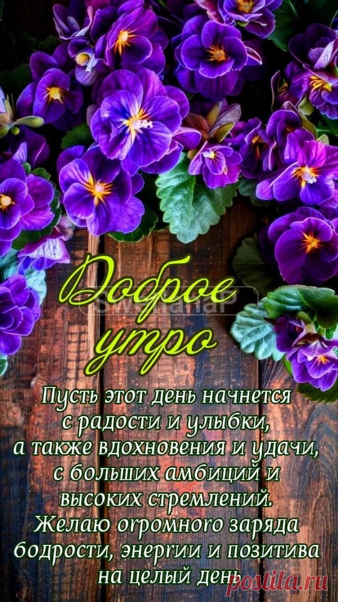 С добрым утром Привет Здрасте Добрый день