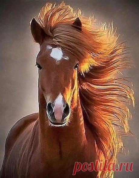 КРАСАВЕЦ !!!!