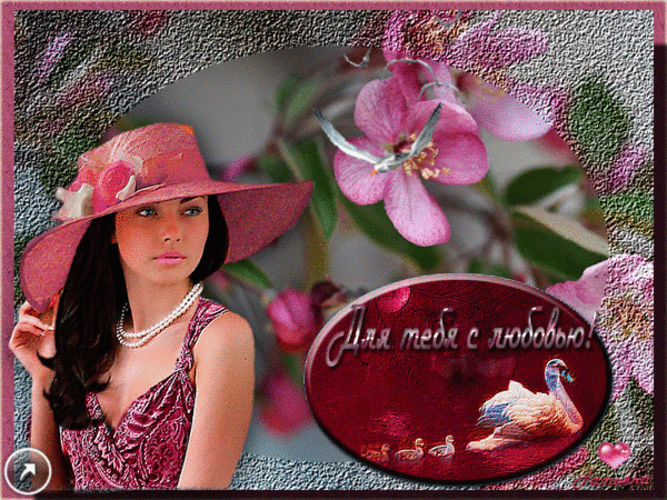 0_927ee_fa30fbe7_GIFXL.gif (800×600)
